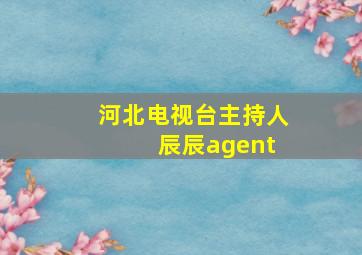 河北电视台主持人 辰辰agent